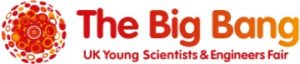 Big Bang 2018 logow