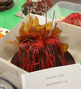 Volcano Comp 2019 2nd Place Cakew