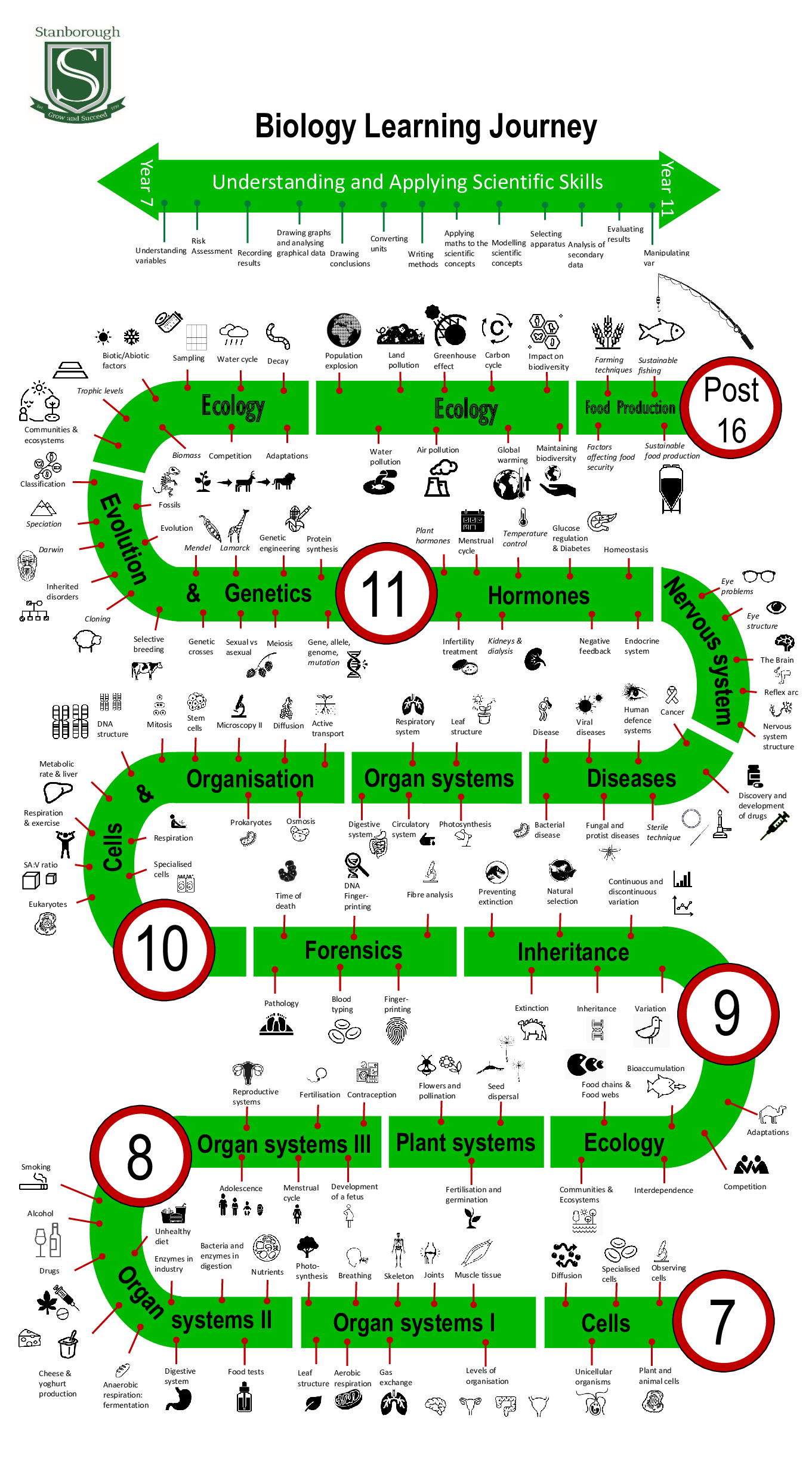 KS3_KS4 Biology Learning Journey